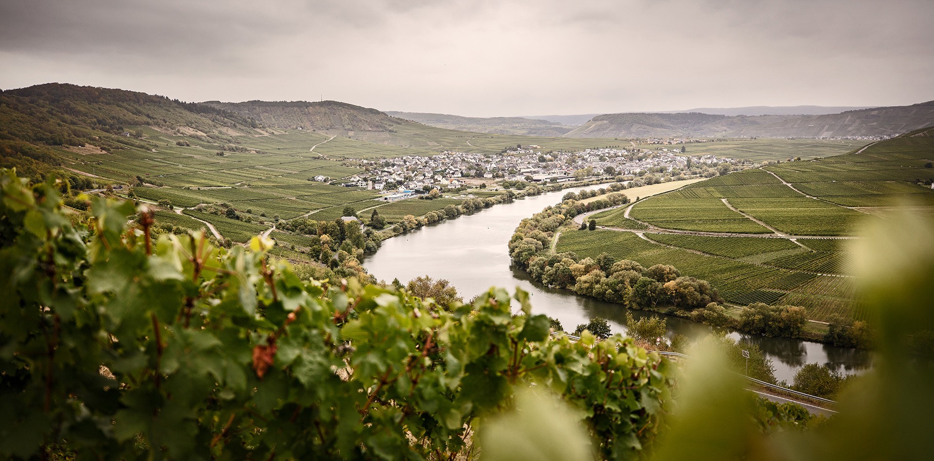 weingut-nikweis-mood-2